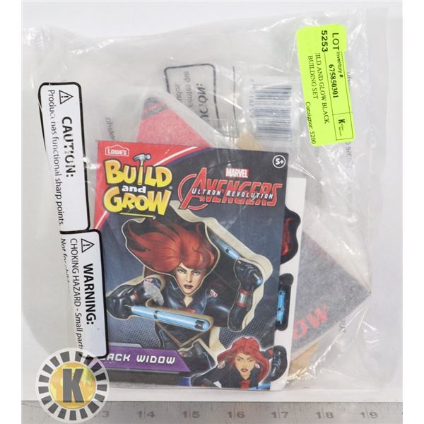 NEW BUILD AND GLOW BLACK WIDOW BUILDING SET