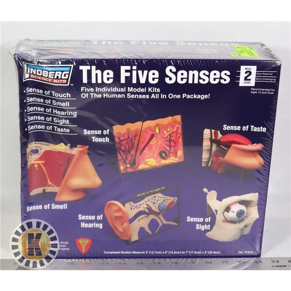 NEW LINDBERG SCIENCE KIT. THE FIVE SENSES MODELS