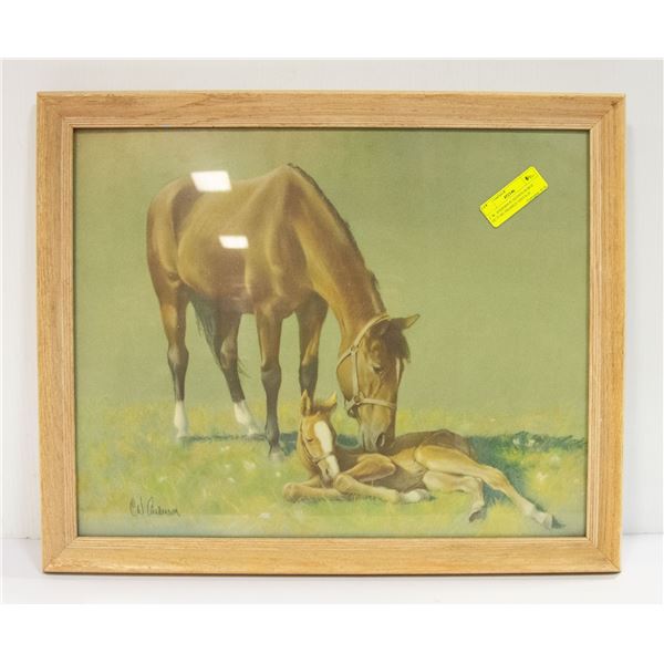 C.W. ANDERSON SIGNED HORSE PICTURE FRAMED VINTAGE