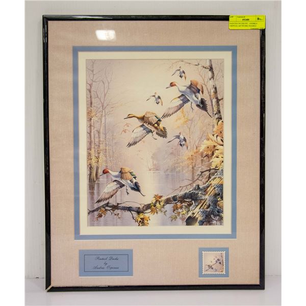 PAINTED DUCKS BY:  ANDREA  ORPINAS ARTWORK FRAMED