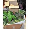 Image 1 : 3 BOXES WITH ARTIFICIAL PLANTS & SEA SHELLS