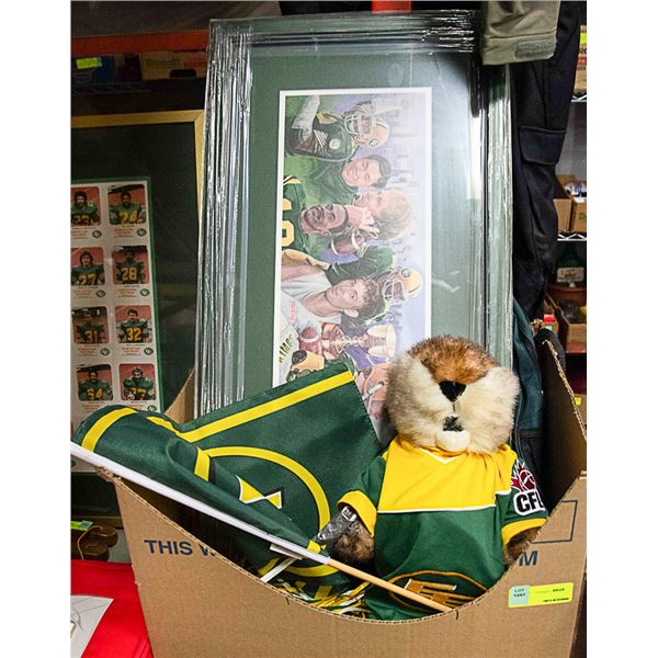 EDMONTON ESKIMOS COLLECTION
