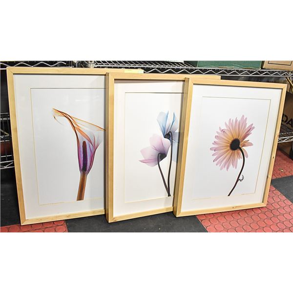 3 WOODEN FRAMED FLOWER PICTURES
