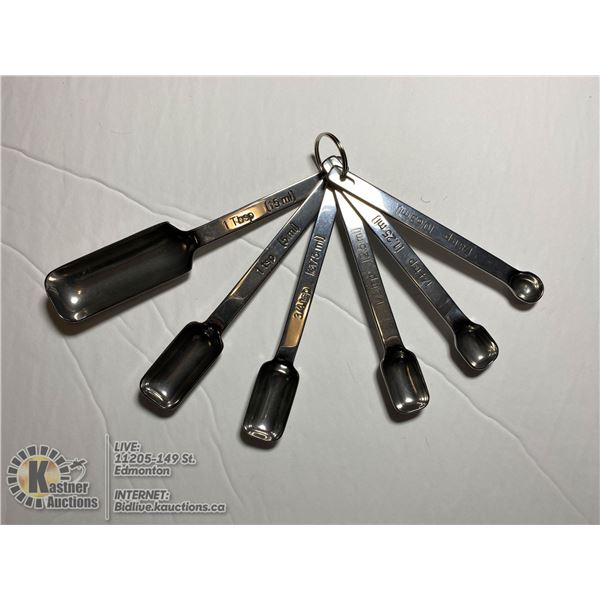 6 PCS MEASURING SPOON SET