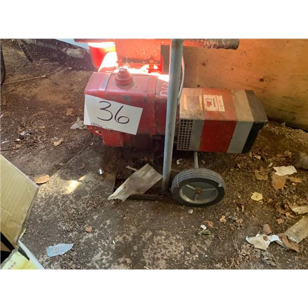 Generator w/cart