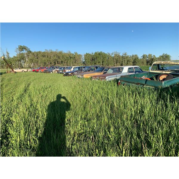 UPDATE: 3 TRUCKS HAVE BEEN REMOVED AND LISTED SEPERATELY - Row of 18 Cars/Trucks for parts/crushing