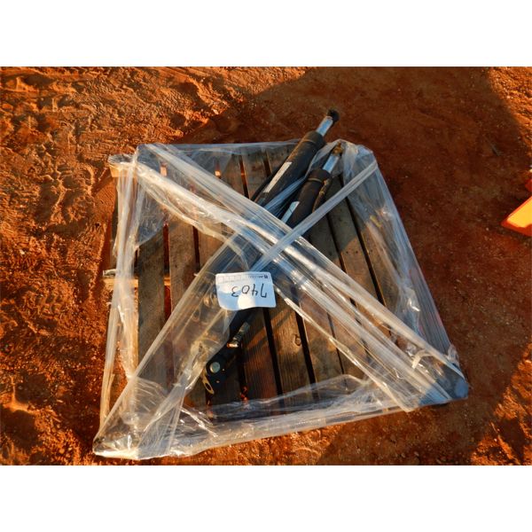 (2) HYD CYLINDER (B-9)