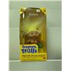 Image 1 : TREASURE TROLLS