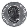 Image 2 : 2006 $50 Spring 1oz Big and Little Bear Constellations Fine Palladium Coloured Coin. Mintage of only