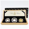 Image 1 : 1989 Commemorative Maple Leaf Issue Proof 3-coin 1oz Fine Silver, 1oz Gold & 1oz Platinum Set in Del