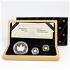 Image 1 : 1989 Commemorative Maple Leaf Issue Proof 3-coin Fine Silver, Gold & Platinum Set in Deluxe Display 