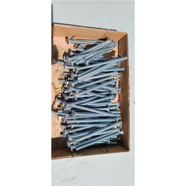 90+ 6" CARRIAGE BOLTS