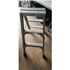 Image 1 : 3' STEP LADDER