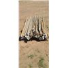 Image 1 : CEDAR GARDEN TRELIS STAKES 1"X1"X8'