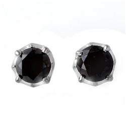 ACA CERTIFIED 2.50ctw BLACK DIAMOND STUD EARRINGS 14KT