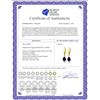 Image 2 : Genuine 3 ctw Sapphire Earrings 14KT Yellow Gold - REF-36M9T