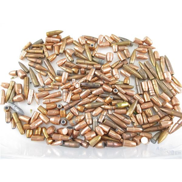 ASSORTED BULLET LOT