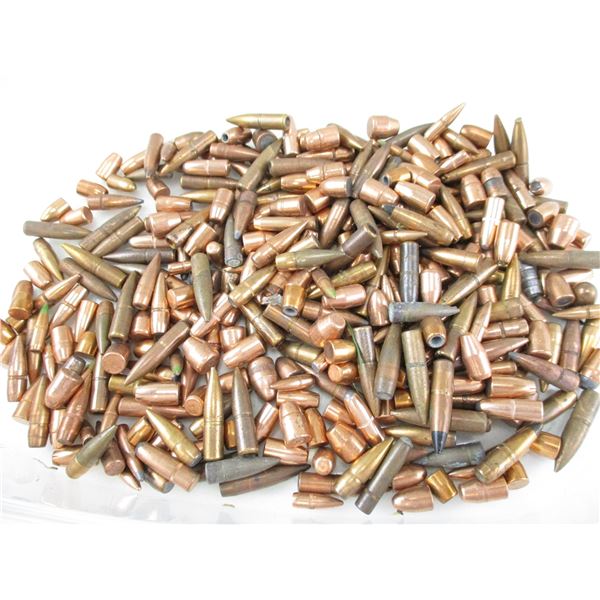 ASSORTED BULLET LOT