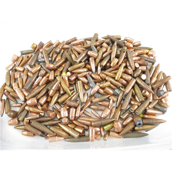 ASSORTED BULLET LOT