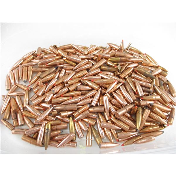 ASSORTED BULLET LOT