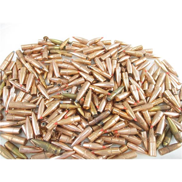 ASSORTED BULLET LOT