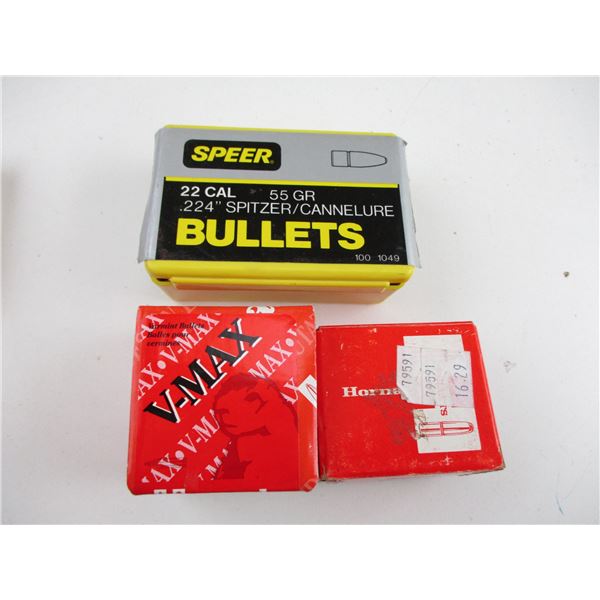 ASSORTED .22 CAL BULLET LOT