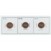Image 1 : 3 - Canadian 1 Cent Coins (1979, 1978, 1976)