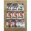 Image 10 : Lot Of 45 Rookie Hockey Cards (Flames + Red Wings + Jets)