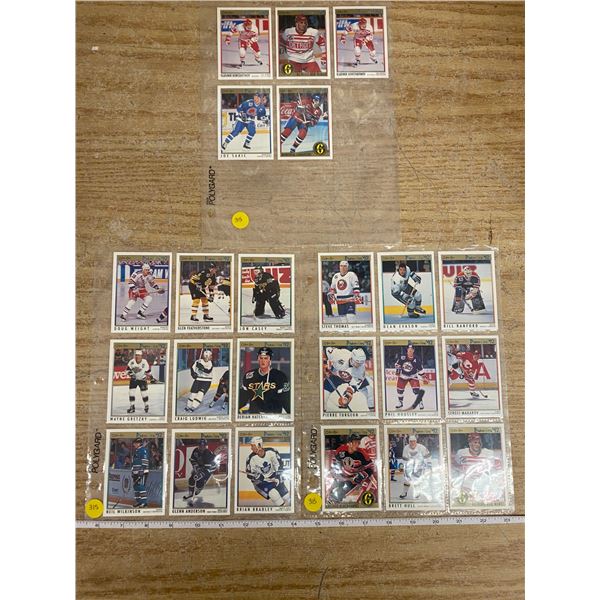 Lot Of 23 Hockey Cards (Red Wings + Nordiques + Islanders)