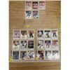 Image 1 : Lot Of 23 Hockey Cards (Red Wings + Nordiques + Islanders)