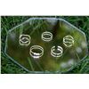 Image 1 : Set of Rings