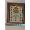Image 1 : Vintage Canadian Penny Collection- Framed