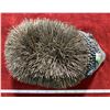 Image 3 : Hedgehog Boot Brush