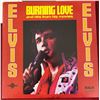 Image 3 : Lot Of 10 Elvis Albums