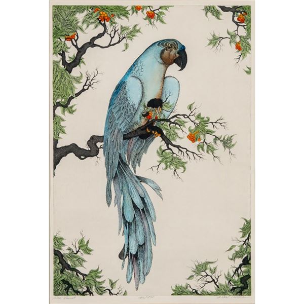 Framed Dan Mitra Color Engraving, Blue Parrot, Signed
