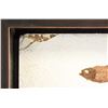 Image 3 : Fossil Painting on Stone Northern American Fossil