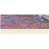 Image 4 : Pastel on Paper Signed H. Tonisson Sapp "1975"