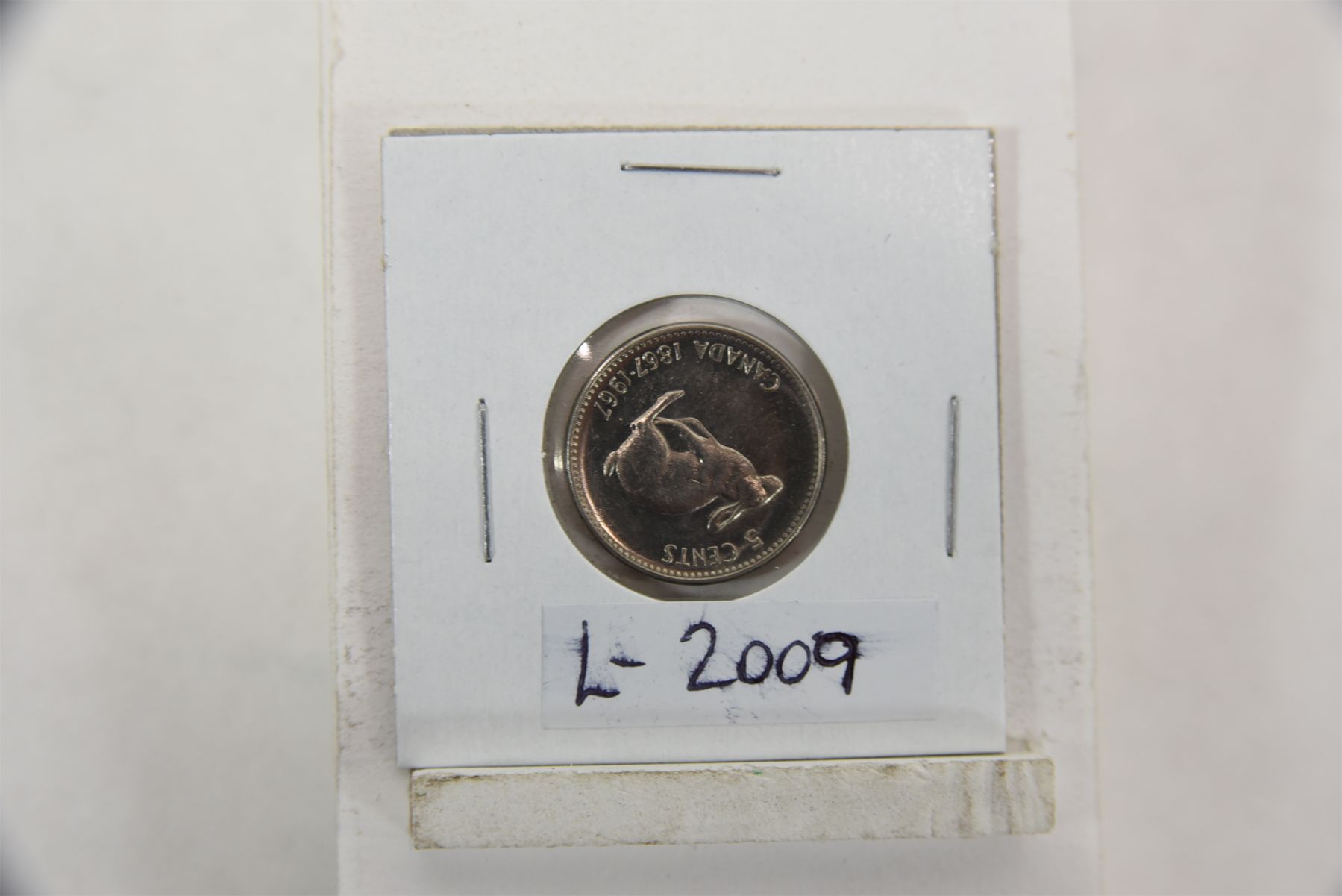 1967 Canadian 5 Cent Rabbit Coin