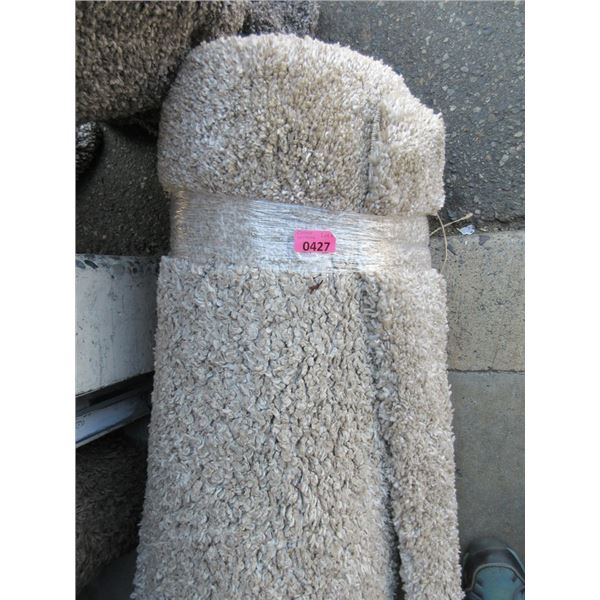 8' x 10' Beige Shag Area Carpet