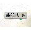 Image 1 : Metal Angela Drive Sign