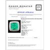 Image 4 : 18K White Gold 10.43ct Emerald & 1.36ct Diamond Ri