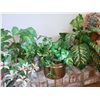 Image 5 : Faux plants, baskets A