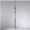 Image 1 : Ron Arad, Long Light floor lamp