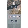 Image 2 : Royal Canadian Mint 1995-1997 A Lot of 3 Animal Sets of Proof 50 Cents