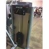 Image 2 : PRECOR COMMERCIAL VARIABLE WEIGHT BICEPS CURL MACHINE
