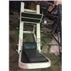 Image 3 : CYBEX COMMERCIAL FREE WEIGHT LEG PRESS MACHINE