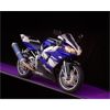 Image 2 : 2001 YAMAHA YZFR1 CHAMPIONS EDITION LTD