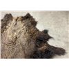 Image 5 : Large Taxidermy Montana Buffalo Hide Robe Rug
