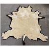 Image 6 : Large Taxidermy Montana Buffalo Hide Robe Rug