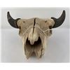 Image 1 : Nice Large Montana Buffalo Skull